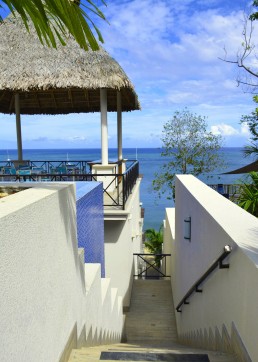 Beachfront infinity pool with deck and palms at a tropical resort