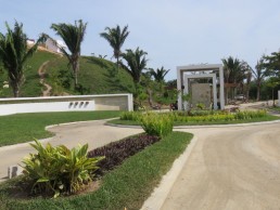 Landscaped walkway and driveway at Njoi